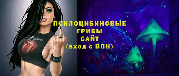 PSILOCYBIN Армянск