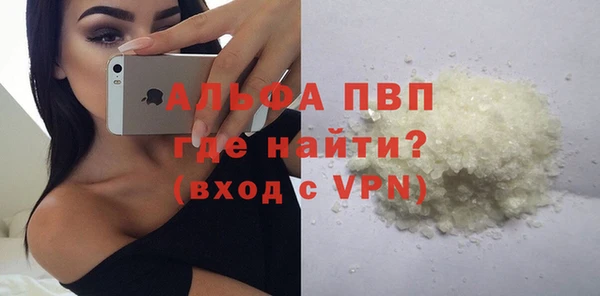 шишки Арсеньев