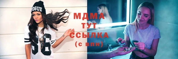 шишки Арсеньев