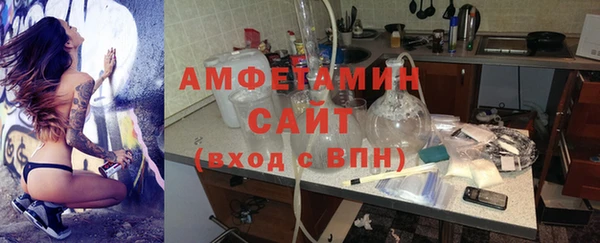 шишки Арсеньев