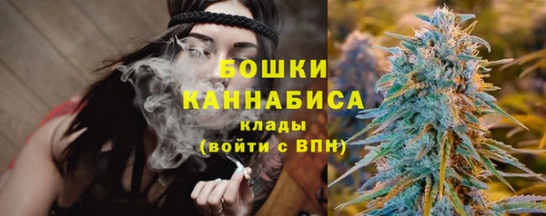 шишки Арсеньев