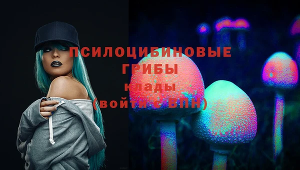 PSILOCYBIN Армянск