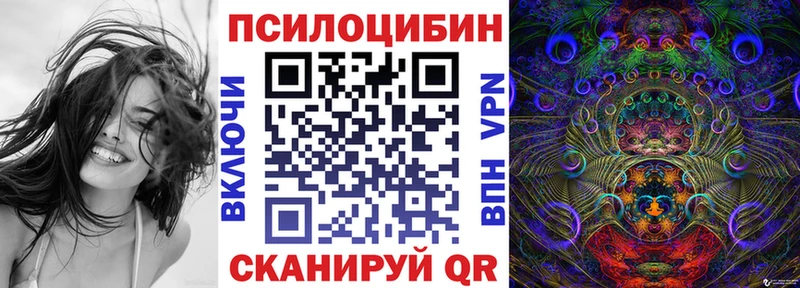 купить закладку  Бабушкин  KRAKEN ССЫЛКА  Псилоцибиновые грибы мицелий 